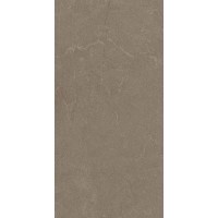 STONELINE BROWN 60x120 9922