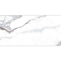 GLOBAL GREY 29.6x59.6