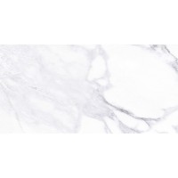 PARIS LIGHT GREY 30x60