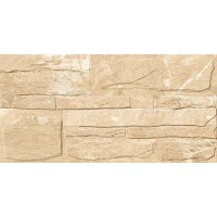 PERU BROWN E1101 30x60