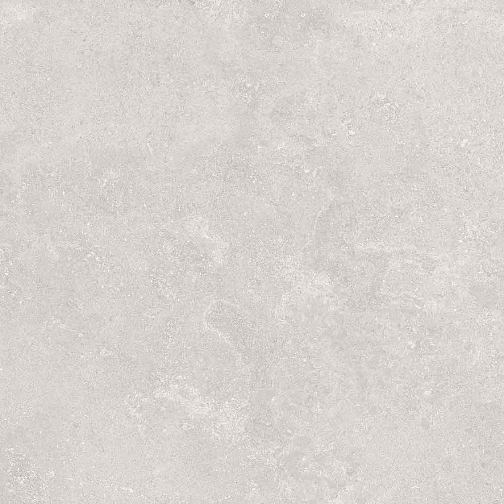 NATURALIS GREIGE 60x60 2014