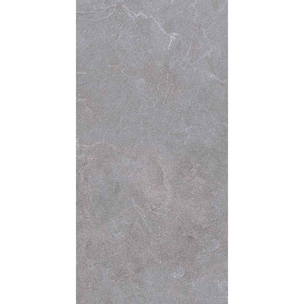 STONELINE GREY 60x120 9918