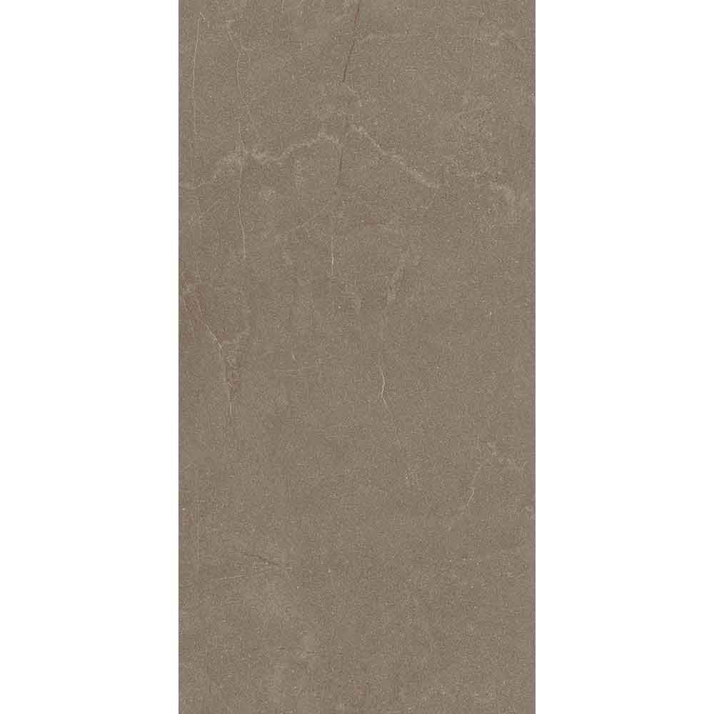 STONELINE BROWN 60x120 9922