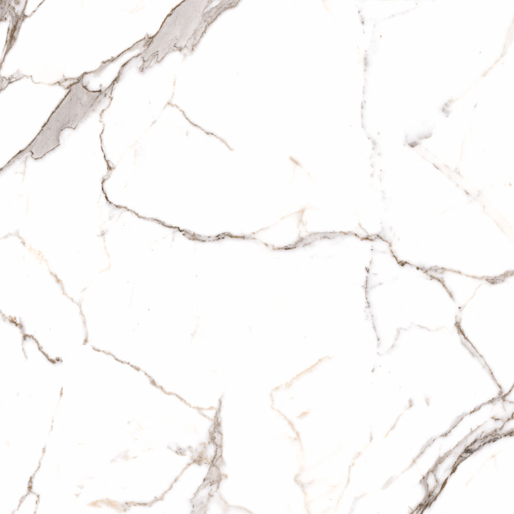 ARABELLA LIGHT GREY RECTIFIED 60.5x60.5