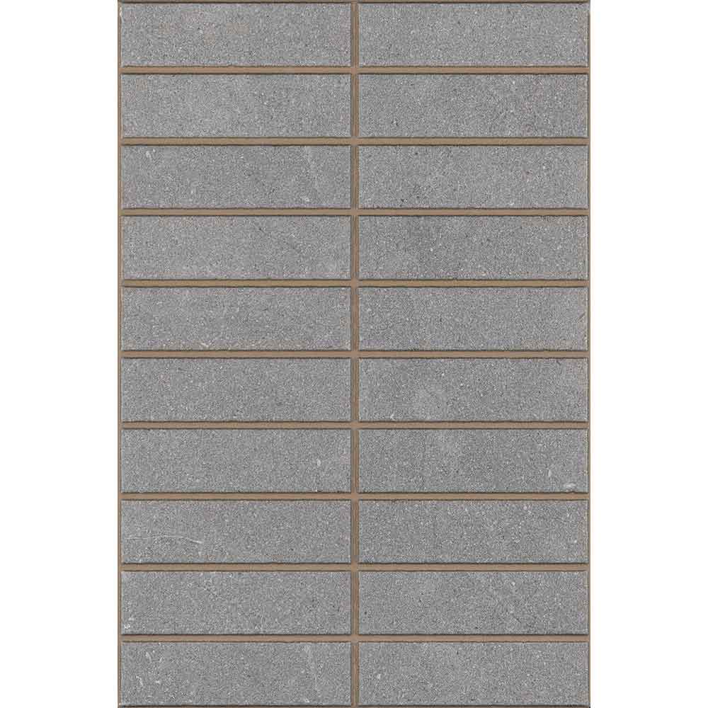 NAOS GRIS 40x60 12MM