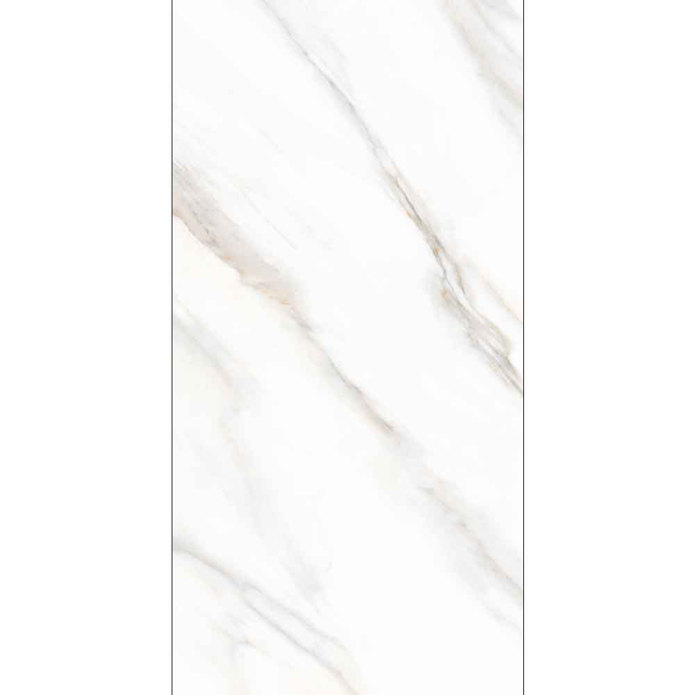 CALACATTA GOLDEN CARVING 60x120