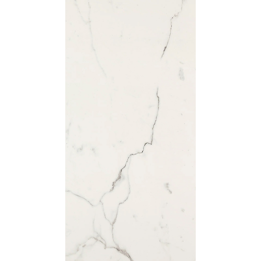 ALLMARBLE STATUARIO RT 60x120 MMGT