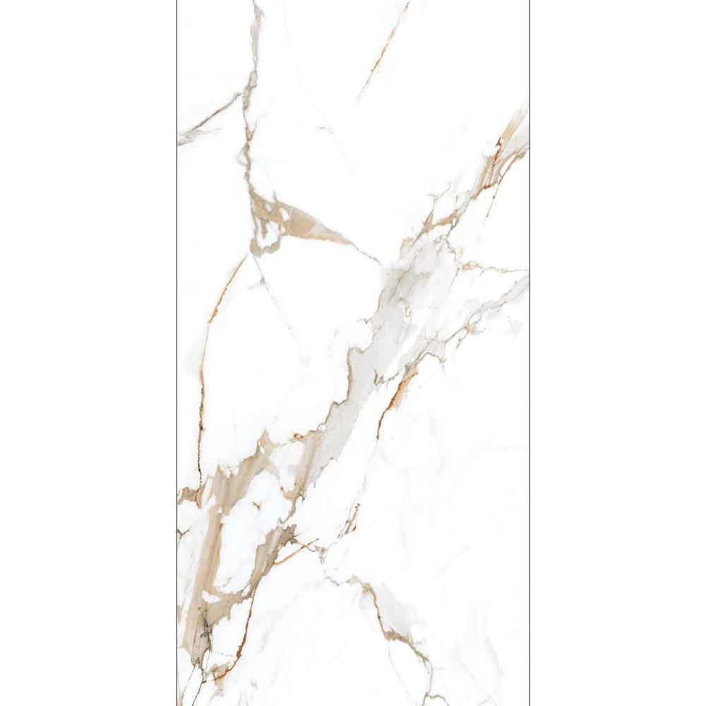 CALCI GOLD 60x120