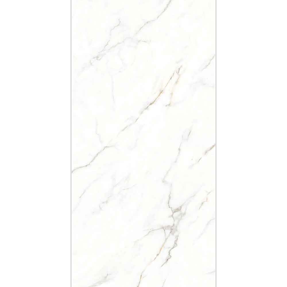 EON CALACATTA GLOSSY 60x120