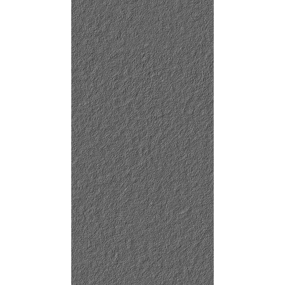 LAPPATO GREY 60x120